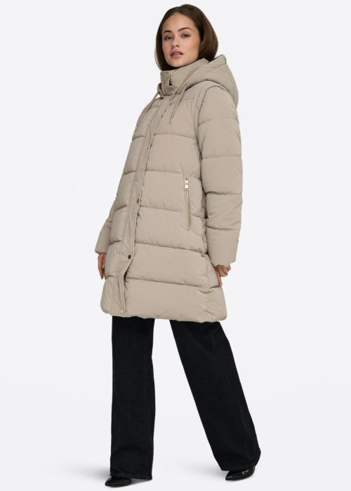 Only ziemas metelis Dixie