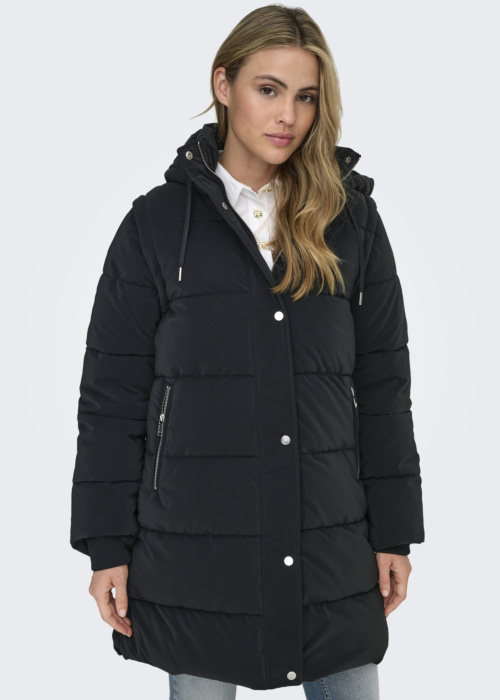 Only ziemas metelis Dixie