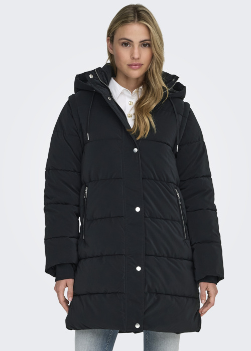 Only ziemas metelis Dixie