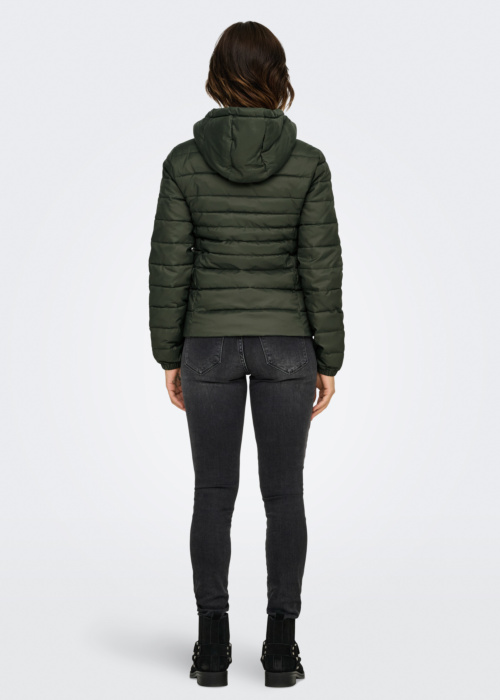 Only pavasara-rudens virsjaka Tahoe