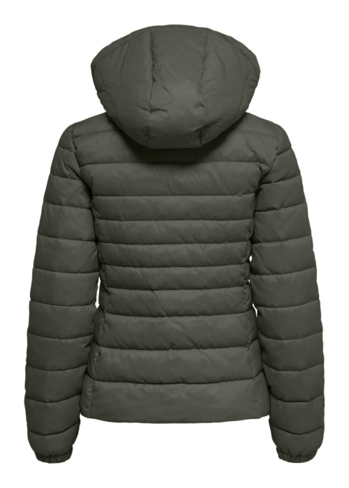 Only pavasara-rudens virsjaka Tahoe