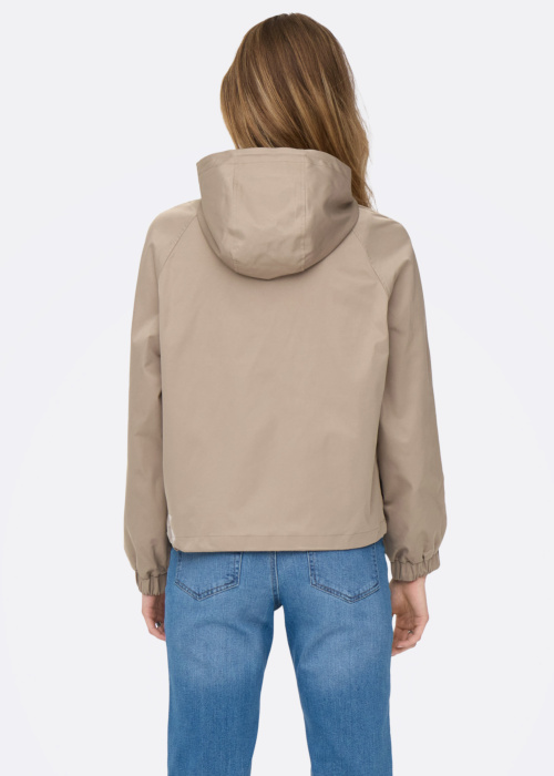 Only pavasara-rudens virsjaka Poppi