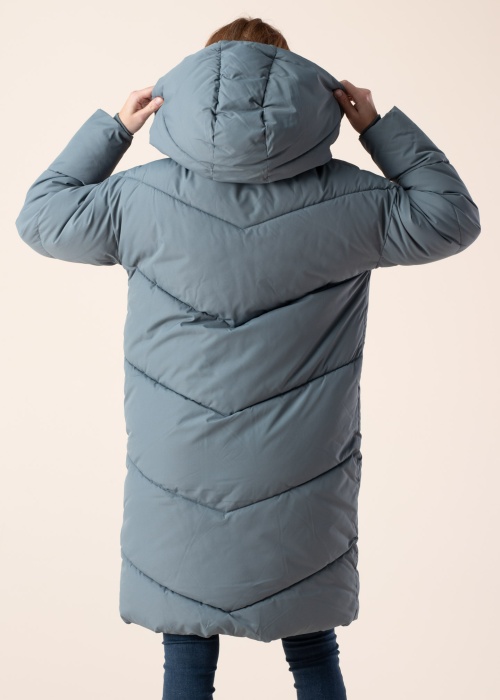 Noisy May ziemas metelis New