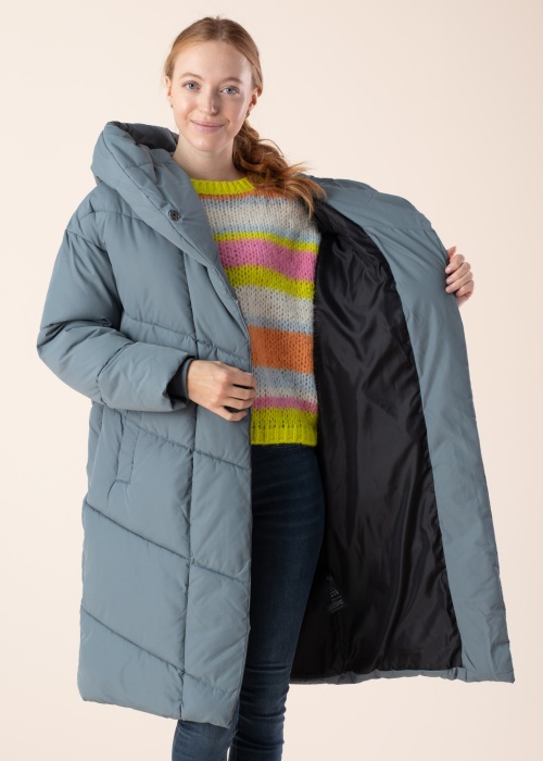 Noisy May ziemas metelis New