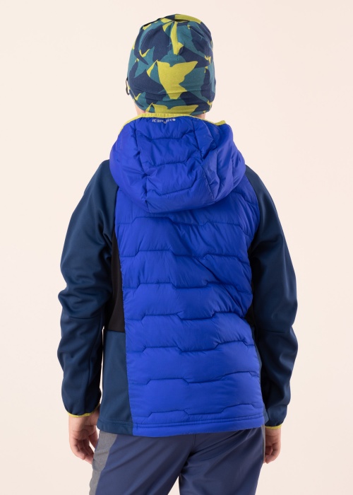 Icepeak pavasara-rudens virsjaka Knox Jr SCH