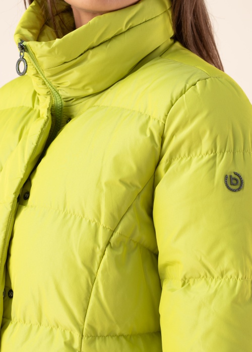 Bugatti ziemas metelis