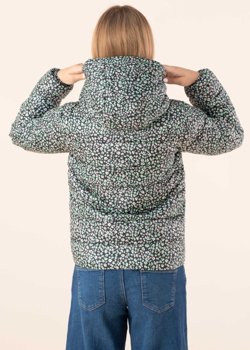 Only pavasara-rudens virsjaka Newtalia