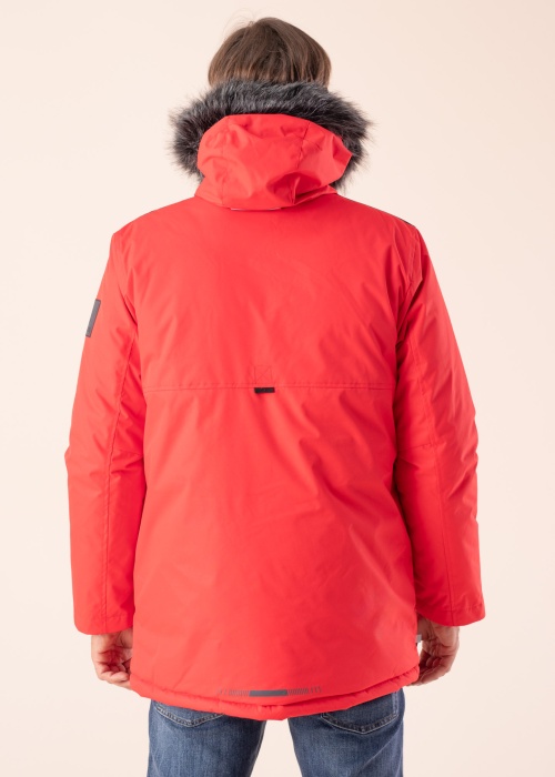 Huppa virsjaka Aron 2