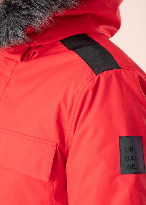 Huppa virsjaka Aron 2