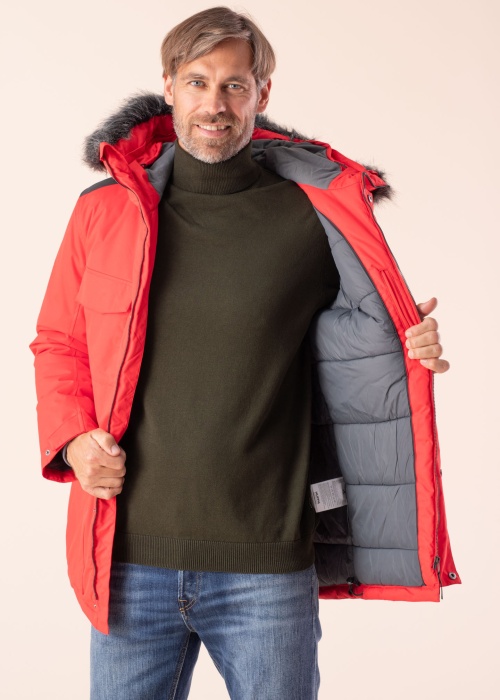 Huppa virsjaka Aron 2