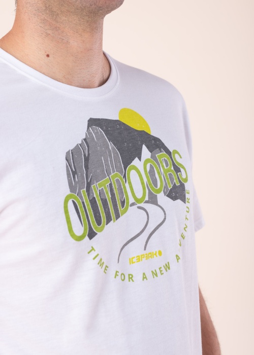 Футболка Beeville Icepeak