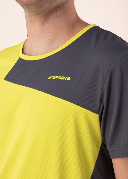 Футболка Bettles Icepeak