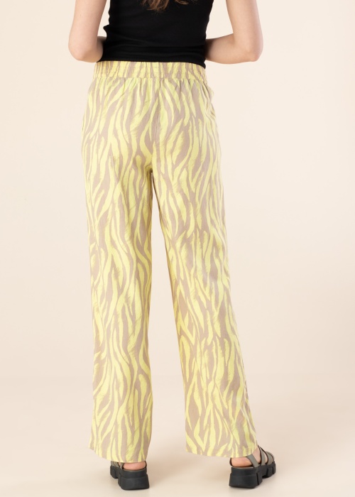 b.young bikses Falakka