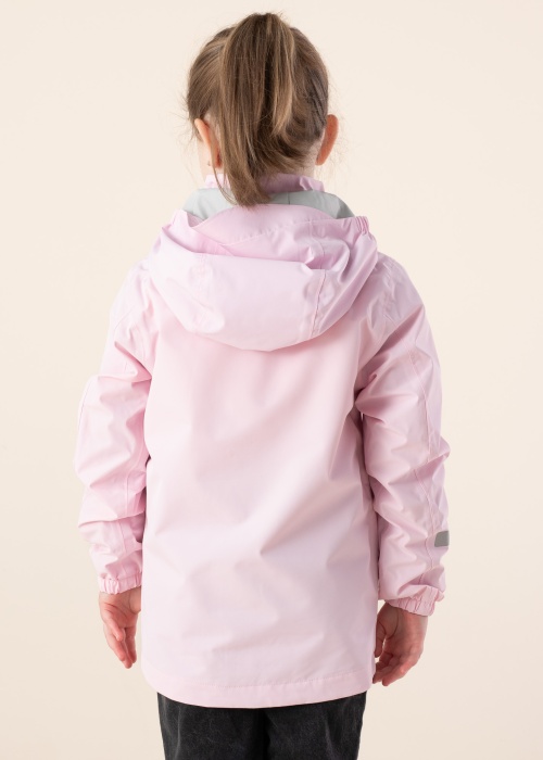 Didriksons pavasara-rudens virsjaka Norma