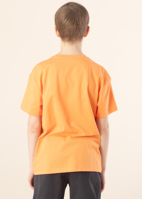 Футболка Tom Tailor