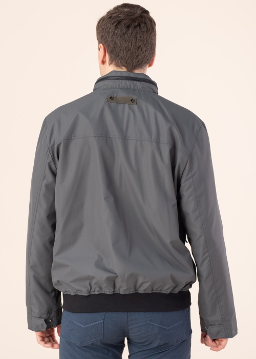 Erla of Sweden pavasara-rudens virsjaka