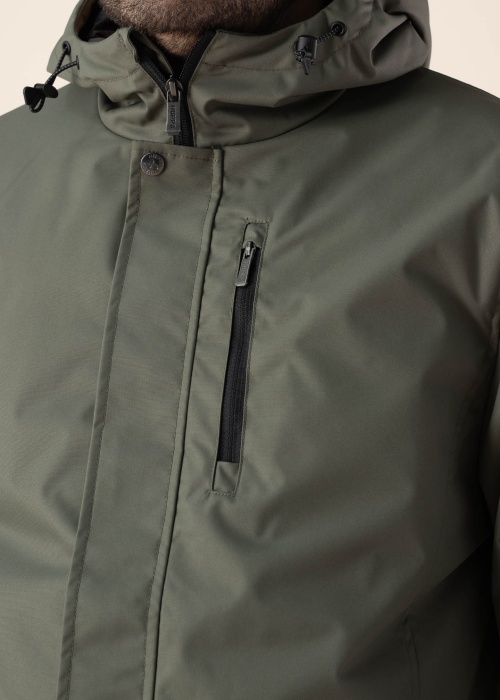 Huppa pavasara-rudens virsjaka