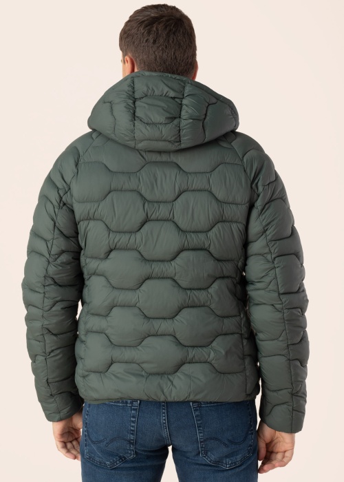 Icepeak pavasara-rudens virsjaka Branch