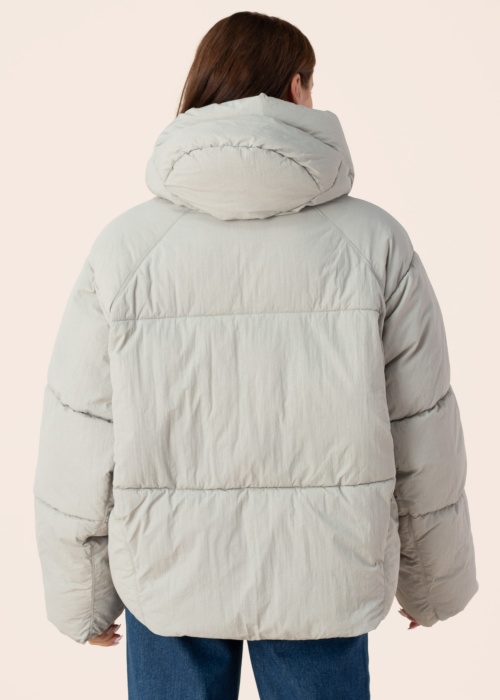 Noisy May Ziemas virsjaka Coddy