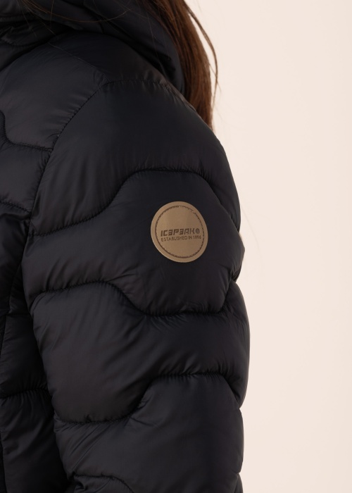 Icepeak ziemas metelis Bandis