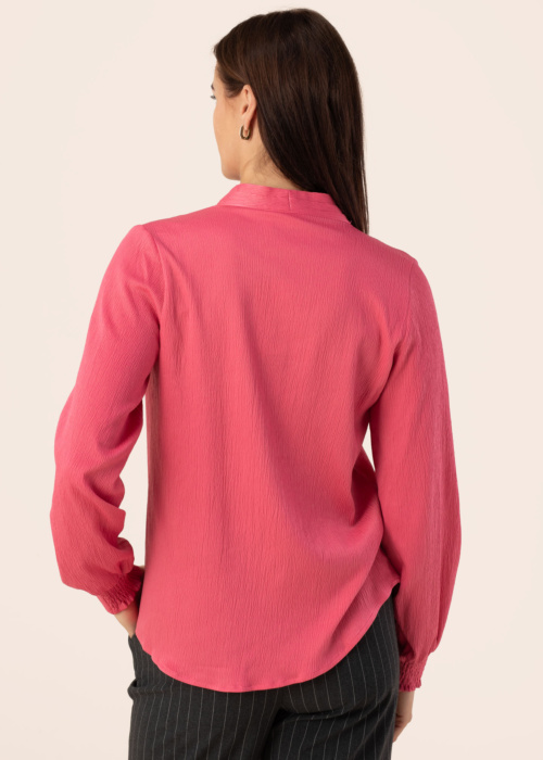 Fransa blūze Viline