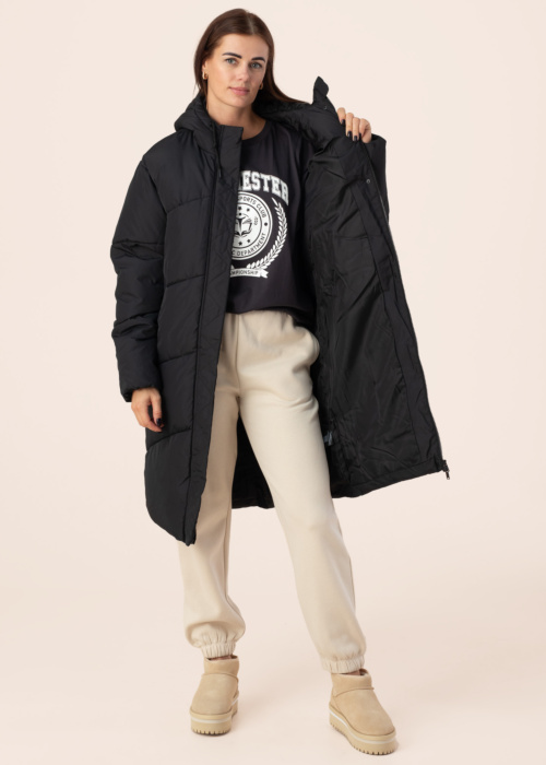 Noisy May ziemas metelis Tenna