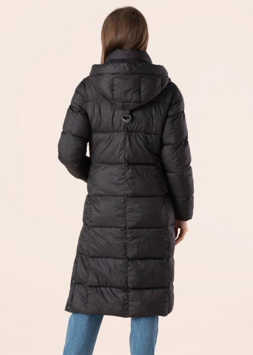 Saki ziemas metelis Bernice