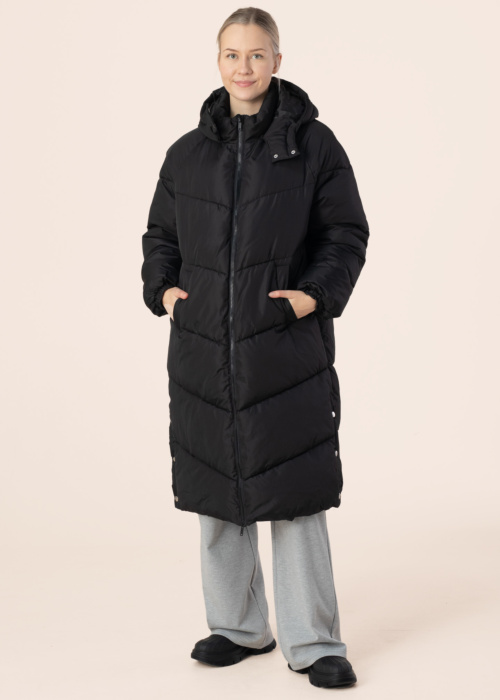 Noisy May ziemas metelis Flora