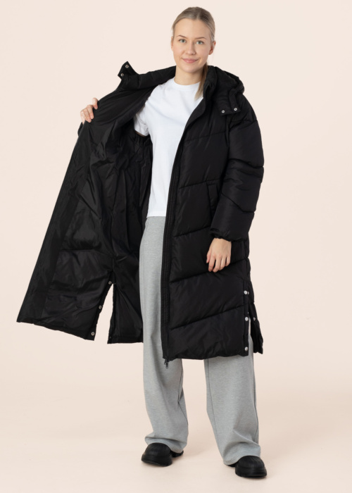 Noisy May ziemas metelis Flora