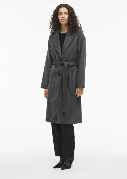 Vila ziemas metelis Linse