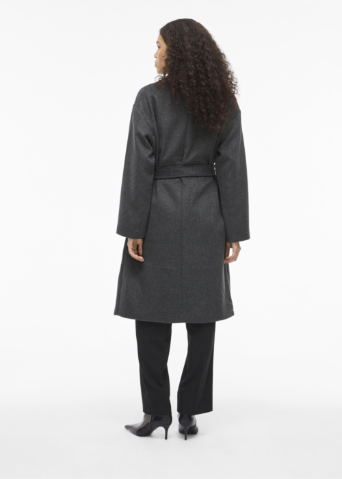 Vila ziemas metelis Linse