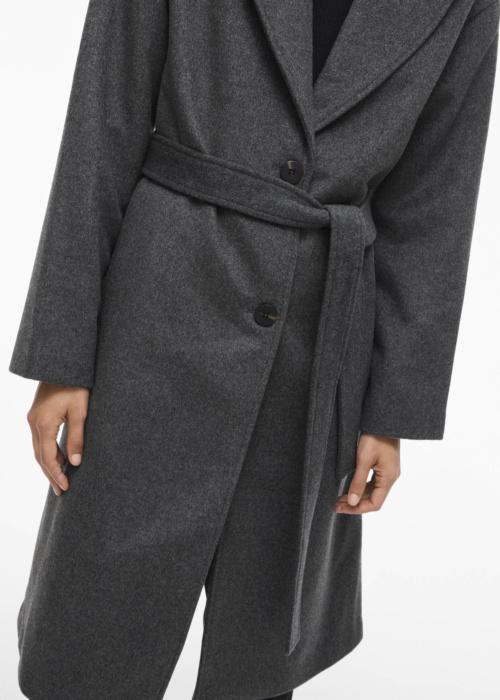 Vila ziemas metelis Linse