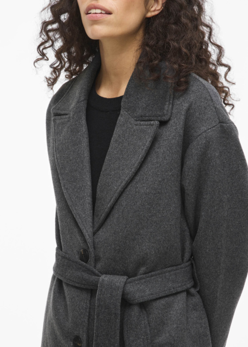 Vila ziemas metelis Linse