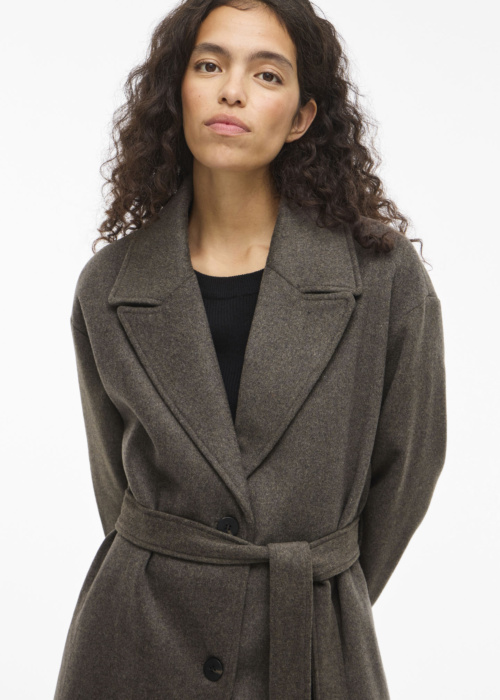 Vila ziemas metelis Linse