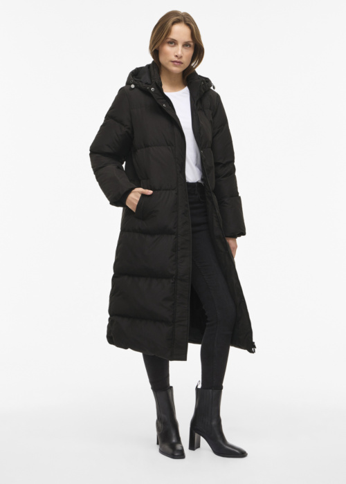 Vila ziemas metelis Stari