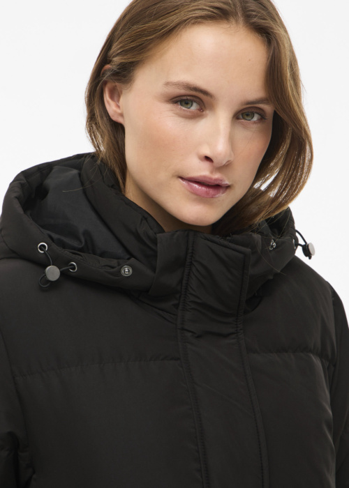 Vila ziemas metelis Stari