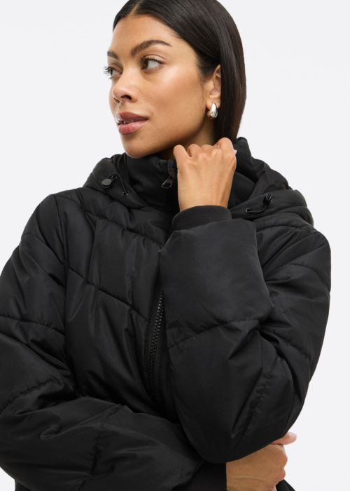 Vila Ziemas virsjaka Milja