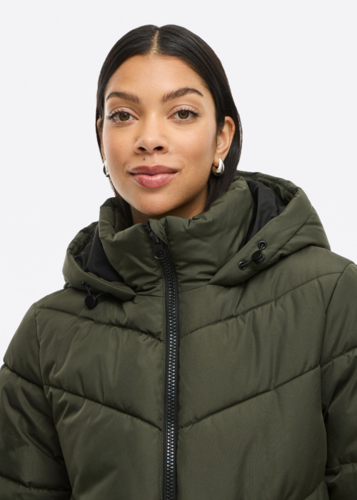 Vila ziemas metelis Milja