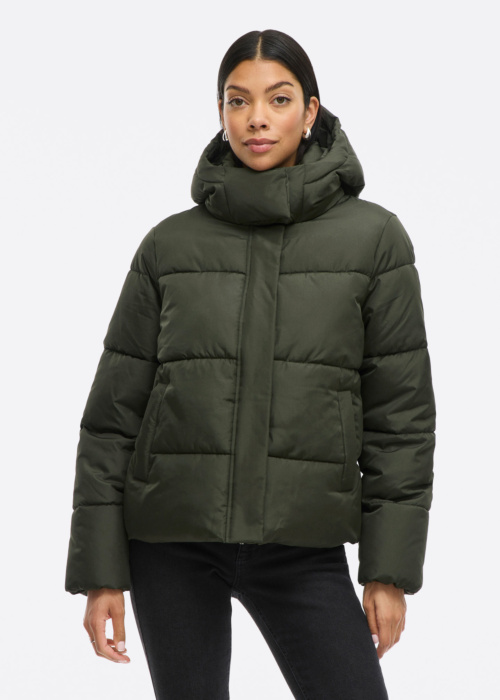 Vila Ziemas virsjaka Milja