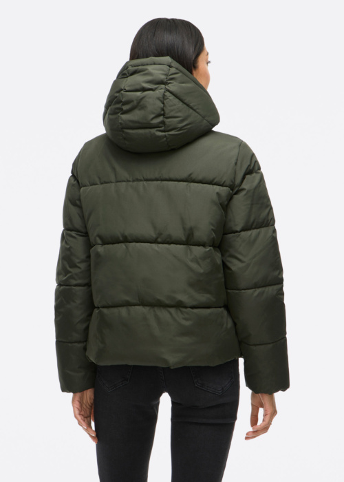 Vila Ziemas virsjaka Milja