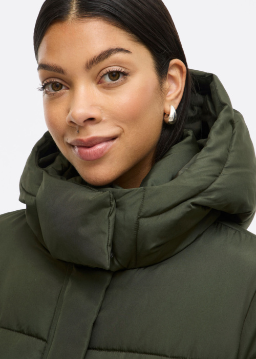 Vila Ziemas virsjaka Milja