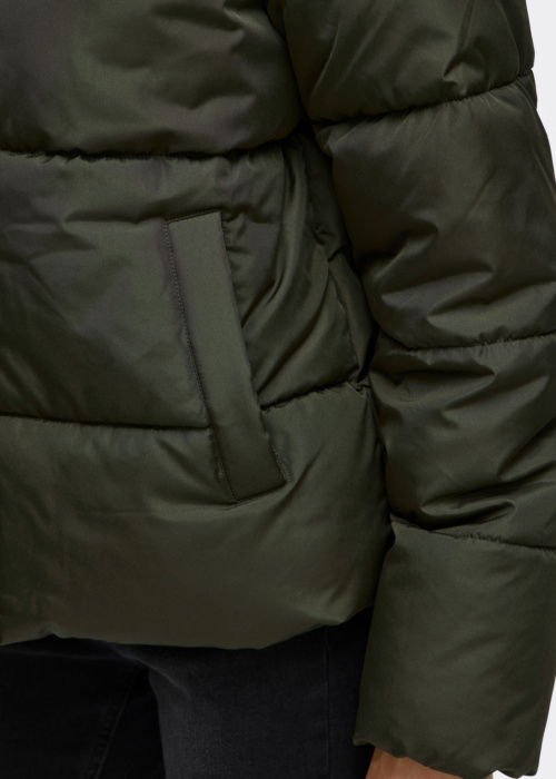 Vila Ziemas virsjaka Milja