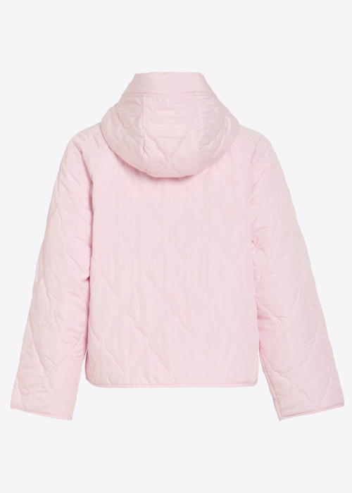 Vila pavasara-rudens virsjaka Nova