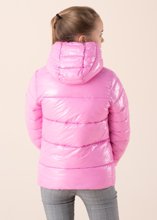 Champion pavasara-rudens virsjaka