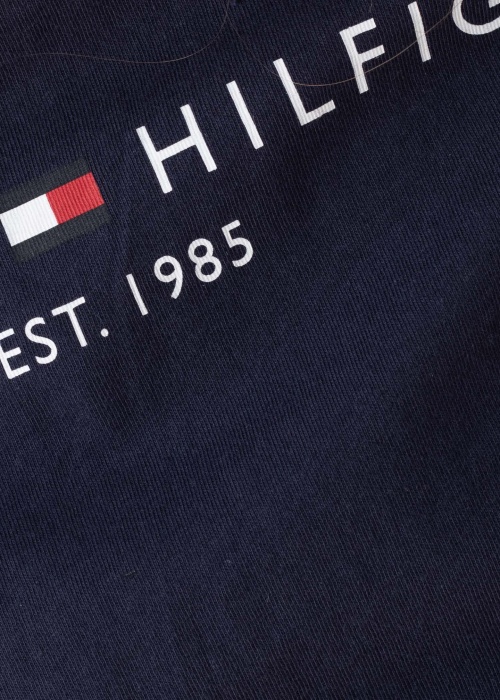 Футболка Established логотип Tommy Hilfiger