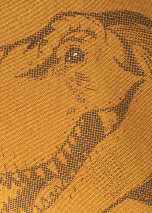 Name It Mini T-krekls ar garām piedurknēm Jammy Jurassic