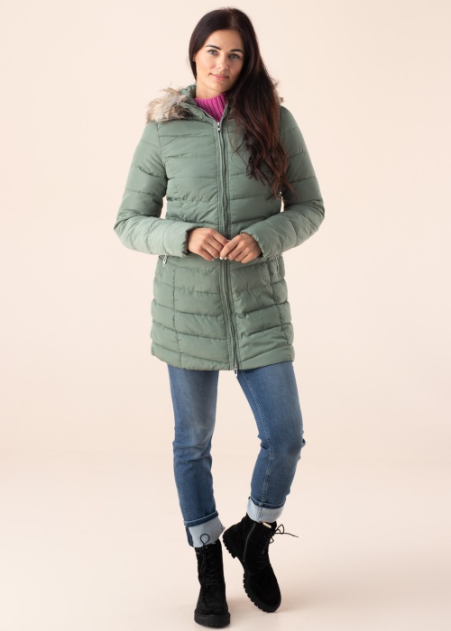 Only ziemas metelis Newellan