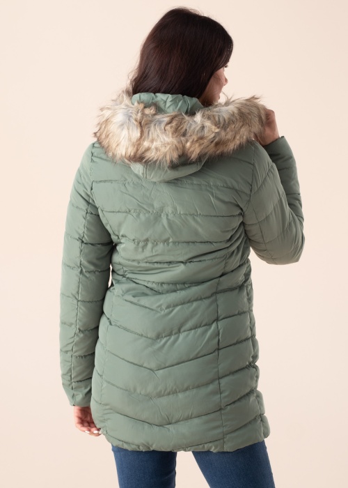 Only ziemas metelis Newellan