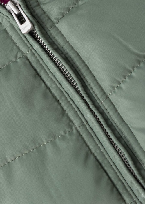 Only ziemas metelis Newellan