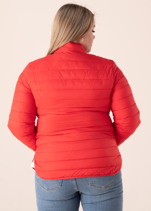 Ciso pavasara-rudens virsjaka